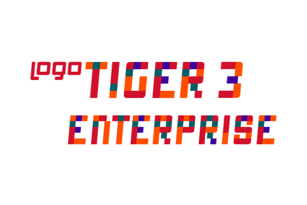 Tiger Enterprise Projesi